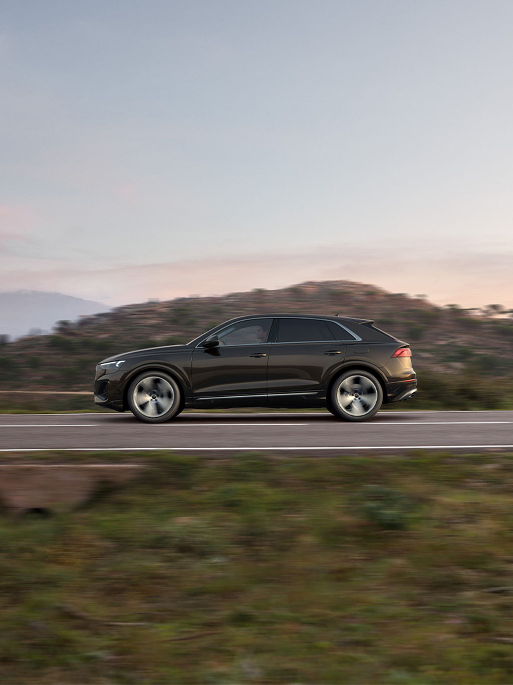 Audi Q8 gallery 4