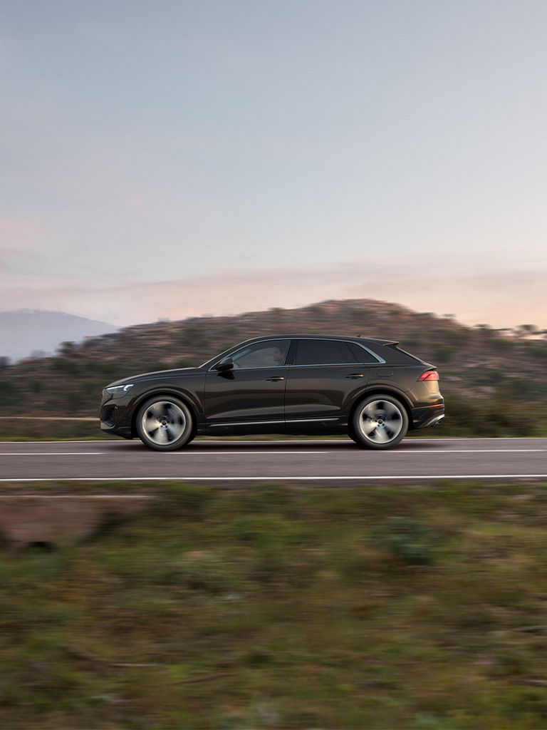 Audi Q8 gallery 8